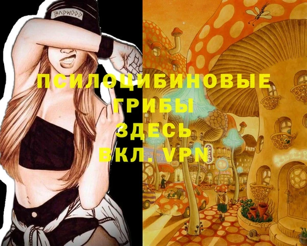 молекула духа Абаза