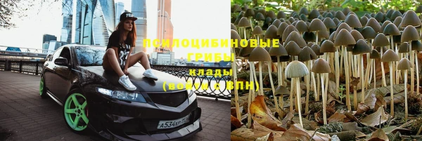 a pvp Алзамай