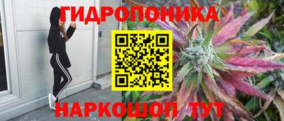 мяу мяу мука Гатчина
