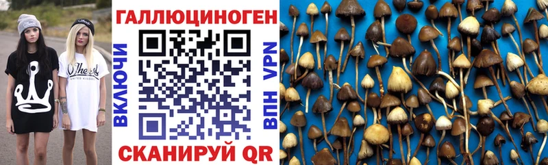 цены наркотик Киров Галлюциногенные грибы Magic Shrooms