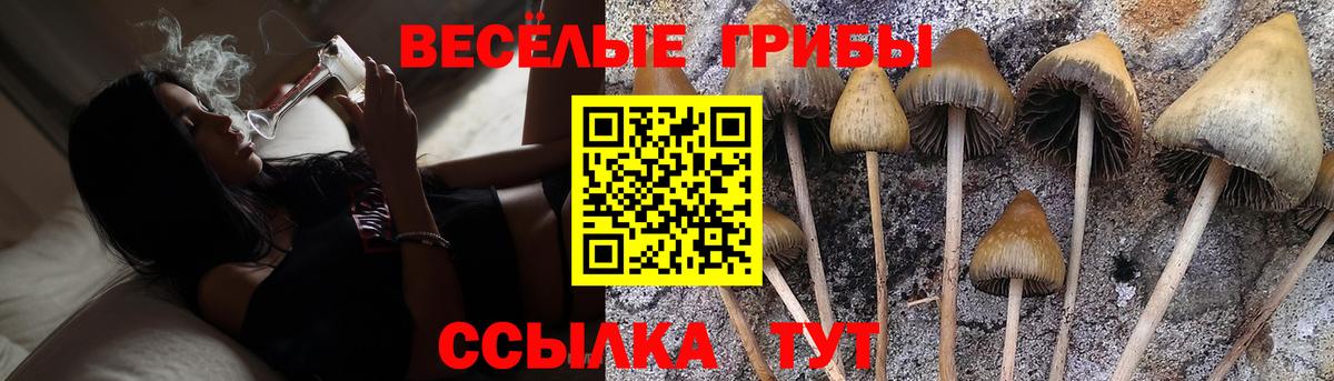 Псилоцибиновые грибы мухоморы  Вход с VPN  Киров 
